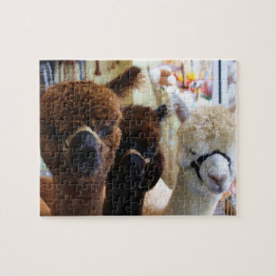 Lama-Puzzlespiel Puzzle