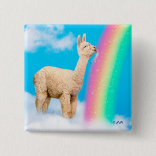 Lama-Regenbogen Button