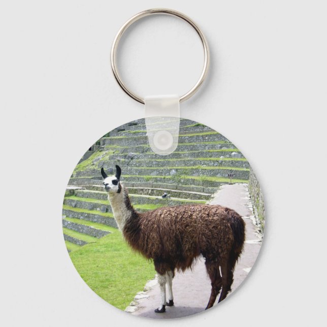 Lama sieht aus schlüsselanhänger (Vorderseite)