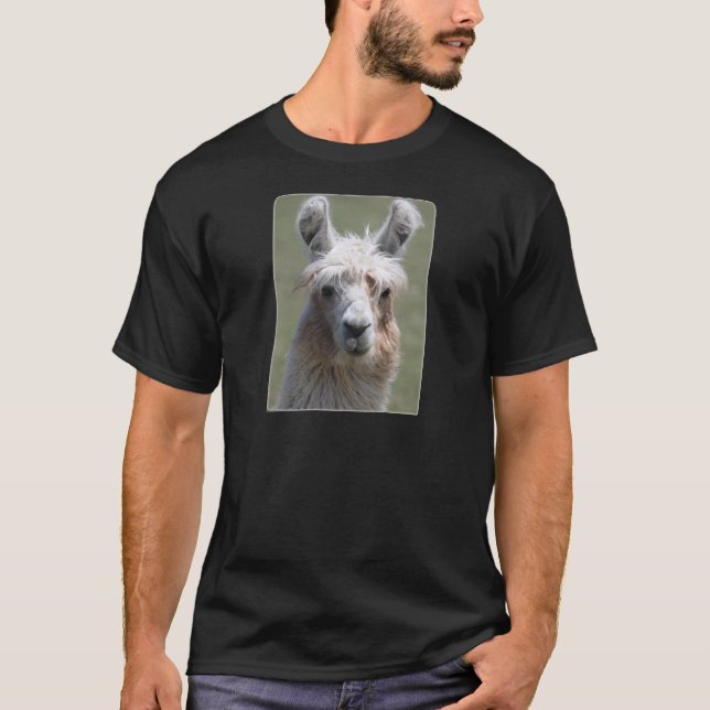 Lama T-Shirt (Vorderseite)