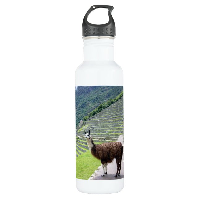 Lama Trinkflasche (Vorderseite)