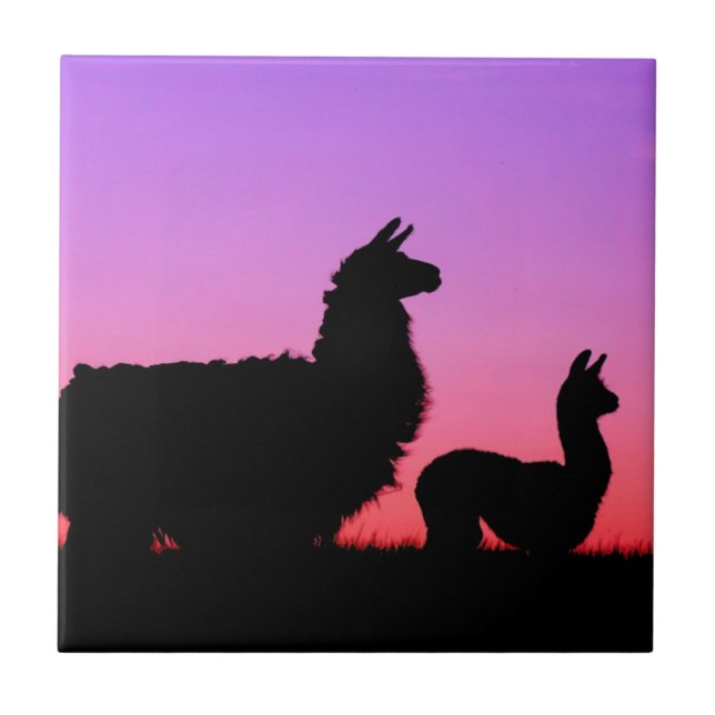 Lama- und cria-Silhouette Fliese (Vorderseite)