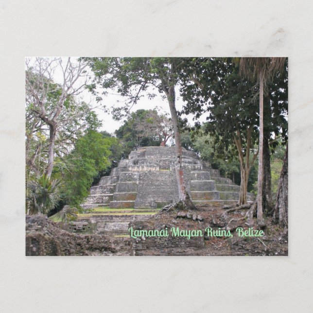 Lamanai Mayan Ruins Belize Postcard Postkarte (Vorderseite)