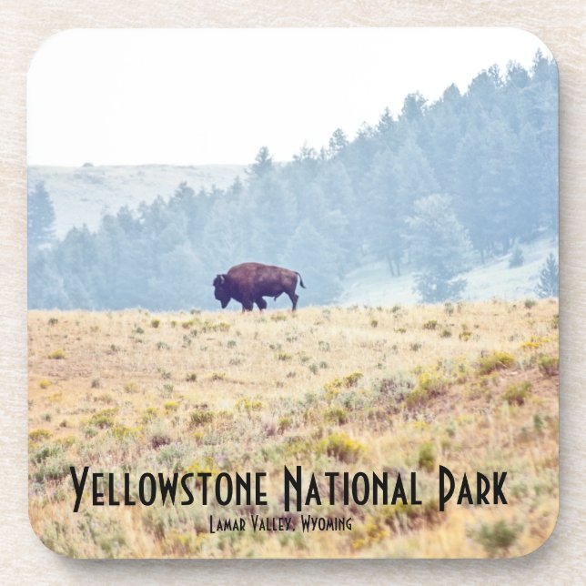 Lamar Getränkeuntersetzer (Vorderseite)