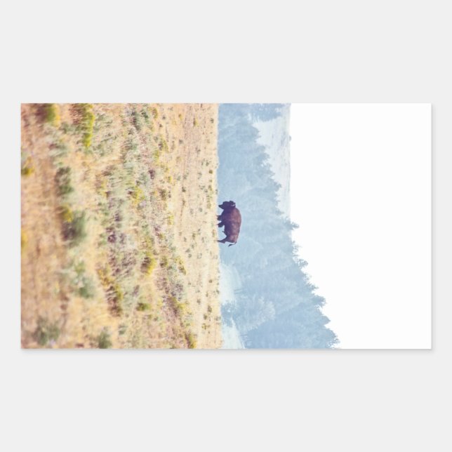 Lamar Rechteckiger Aufkleber (Vorderseite)