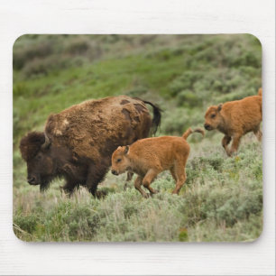 Lamar Tal-Miniansturm Mousepad