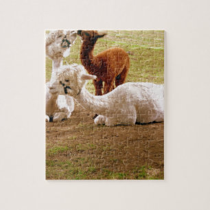 Lamas mit Baby Cria Puzzle