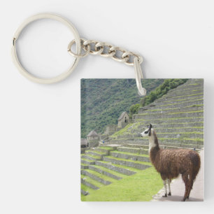 Lamas Schlüsselanhänger
