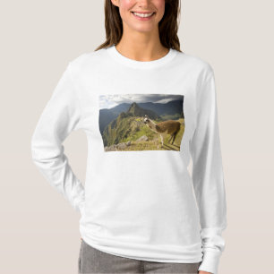 Lamas und ein Ausblick auf Machu Picchu, T-Shirt