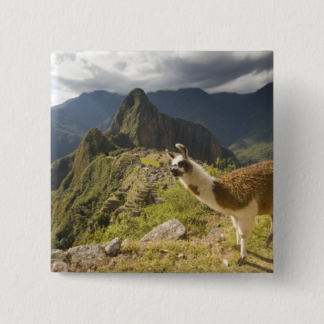 Lamas und ein Blick über Machu Picchu, Button (Vorderseite)