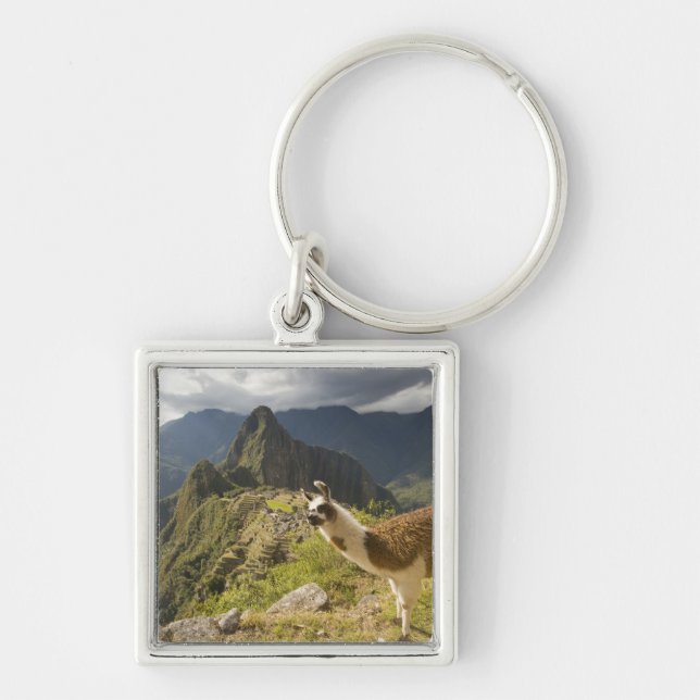 Lamas und ein Blick über Machu Picchu, Schlüsselanhänger (Vorne)