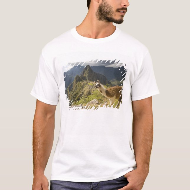 Lamas und ein Blick über Machu Picchu, T-Shirt (Vorderseite)