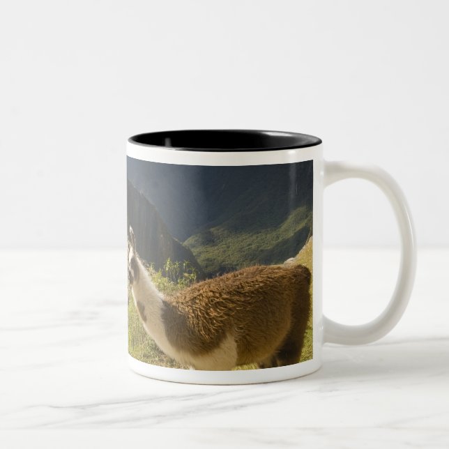 Lamas und ein Blick über Machu Picchu, Zweifarbige Tasse (Rechts)