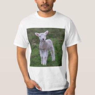 Lamb Baby Sheep Farm T-Shirt