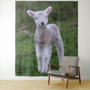 Lamb Baby Sheep Farm Wandteppich