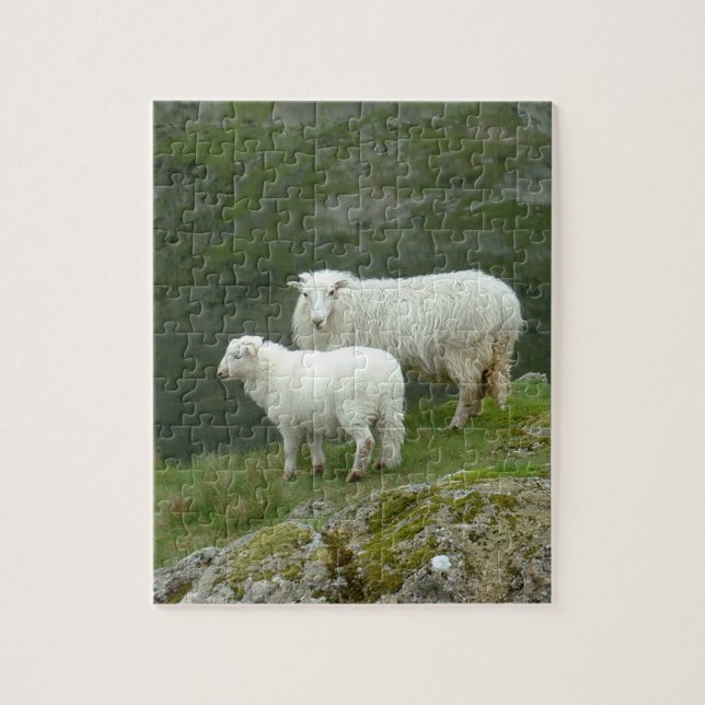 Lamb & Schafe - Schottland/Britische Landschaft Puzzle (Vertikal)