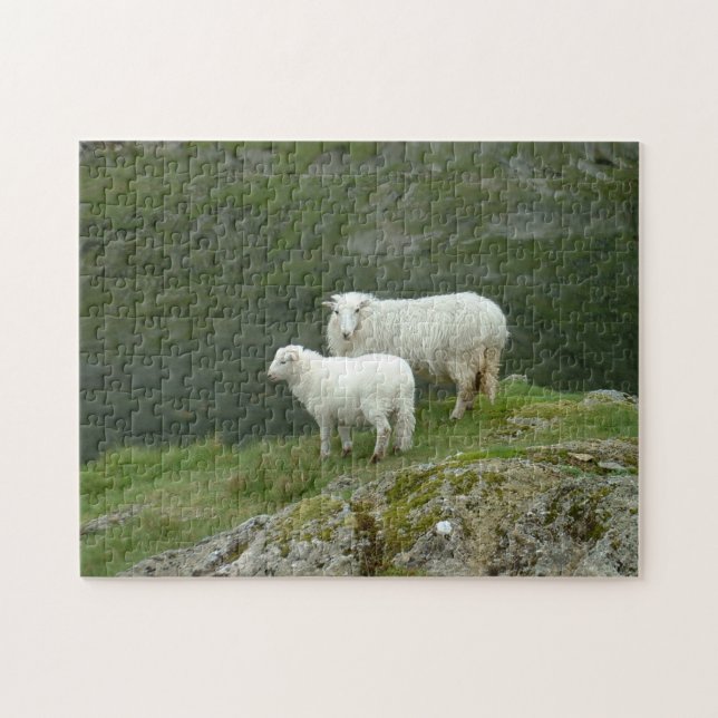 Lamb & Schafe - Schottland/Britische Landschaft Puzzle (Horizontal)