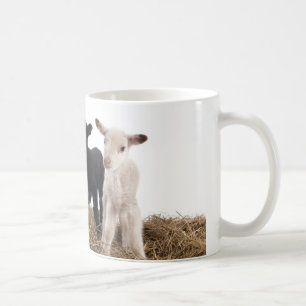 lamb tasse