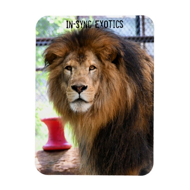 Lamber Magnet (Vertikal)