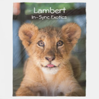 Lambert -