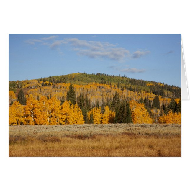 Lambert Hollow, Aspen (Vorderseite (Horizontal))