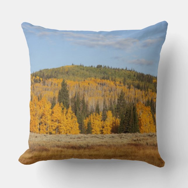 Lambert Hollow, Aspen Kissen (Vorderseite)