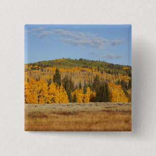 Lambert Hollow, Espen Button