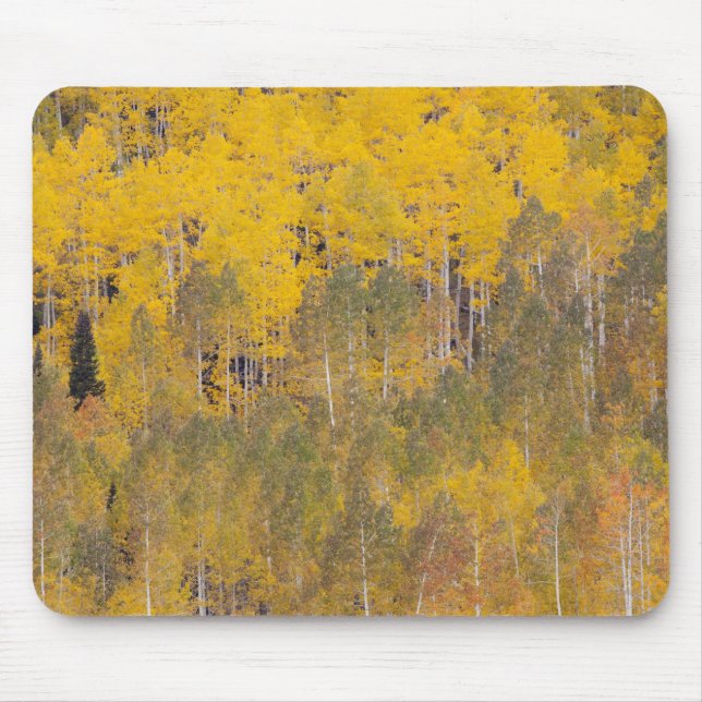Lambert Hollow, Espenbäume Mousepad (Vorne)
