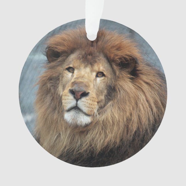 Lambert - ornament (Vorderseite)