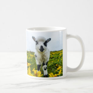 Lambie Tasse