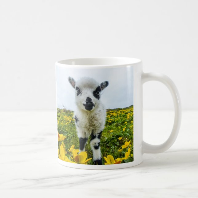 Lambie Tasse (Rechts)
