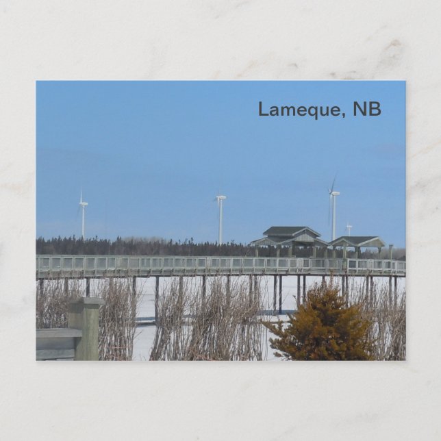 Lameque Wind Turbines Postkarte (Vorderseite)