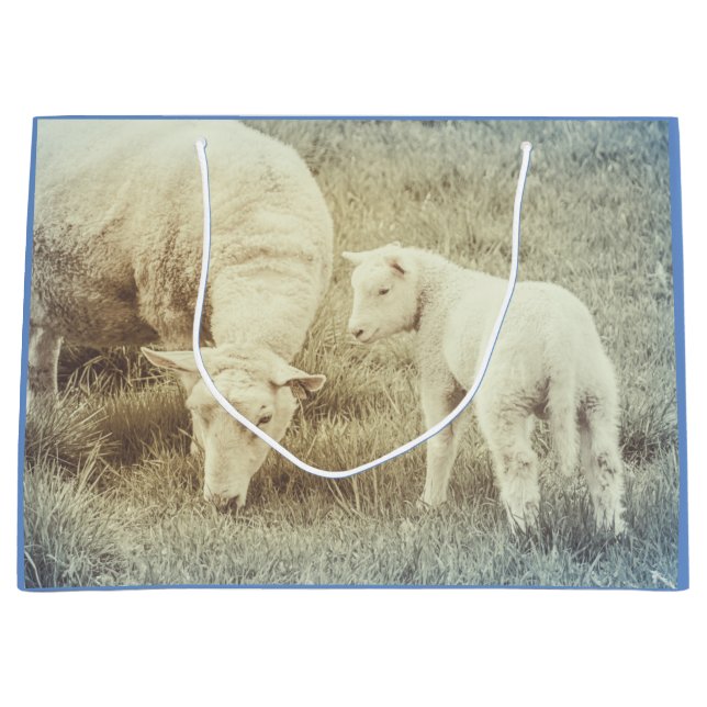 Lamm-Baby-Schafe Große Geschenktüte (Vorderseite)