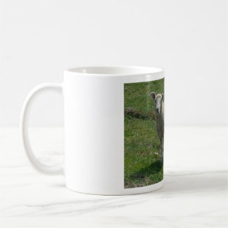 Lamm Bild Kaffeetasse