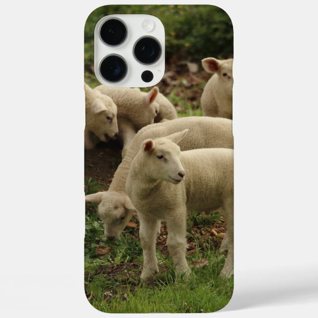 Lamm  Case-Mate iPhone hülle (Rückseite)