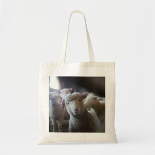 Lamm-Foto-Tasche Tragetasche