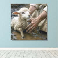 Lamm in Mud, von einem Hirten gerettet