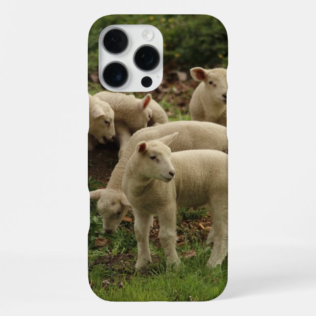 Lamm  iPhone hülle (Rückseite)
