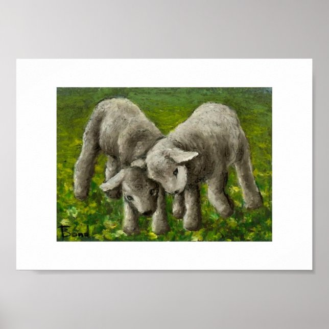 Lamm-Kampfdruck Poster (Vorne)