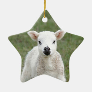 Lamm Keramik Ornament