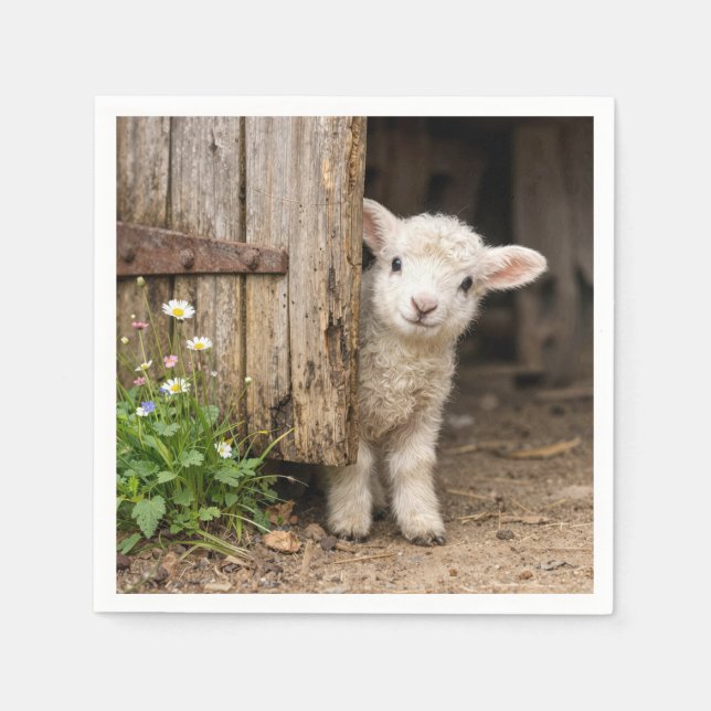 Lamm lugt hinter einer Scheunentür hervor Serviette (Vorderseite)