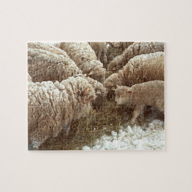 Lamm Puzzle (Horizontal)