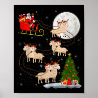 Lämmer Schafe Santa Schlitten Fliegend Lustig Magi