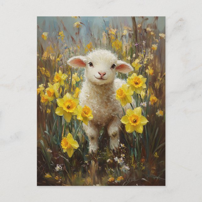 Lammfarbe Gelbe Daffodien Postkarte (Vorderseite)