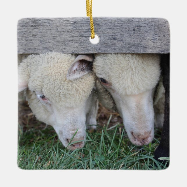 Lammverzierung Keramikornament (Vorderseite)
