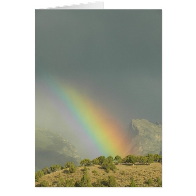 Lamoille Canyon Rainbow (Vorne)