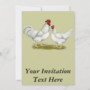 Lamona Chickens Einladung