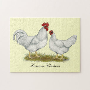 Lamona Chickens Puzzle