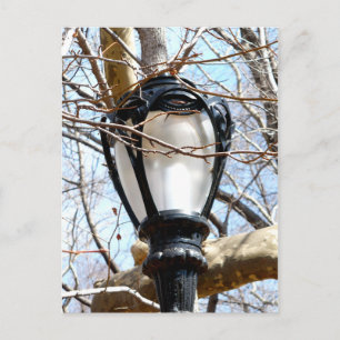 Lamp Post New York Central Park Postkarte