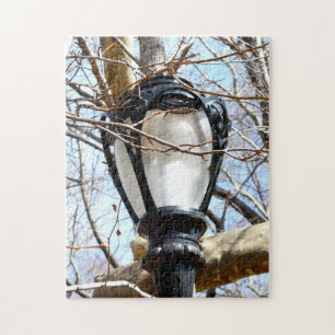 Lamp Post New York Central Park Puzzle